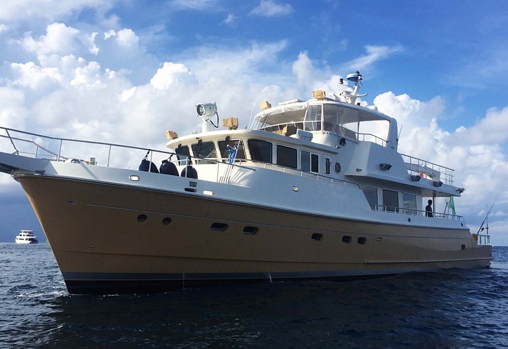 Selene 80